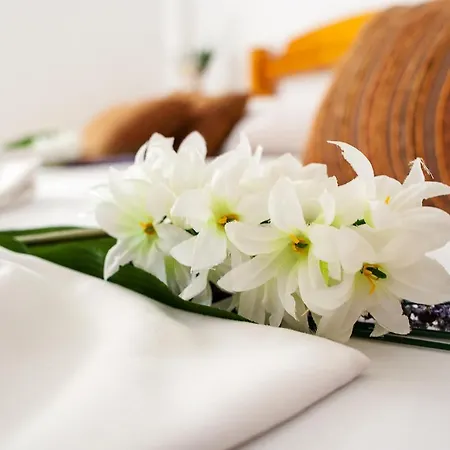 Sea La Vie - Maria *